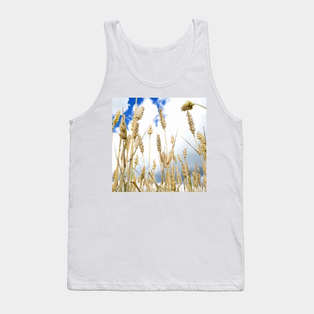 Wheat Tank Top by ansaharju